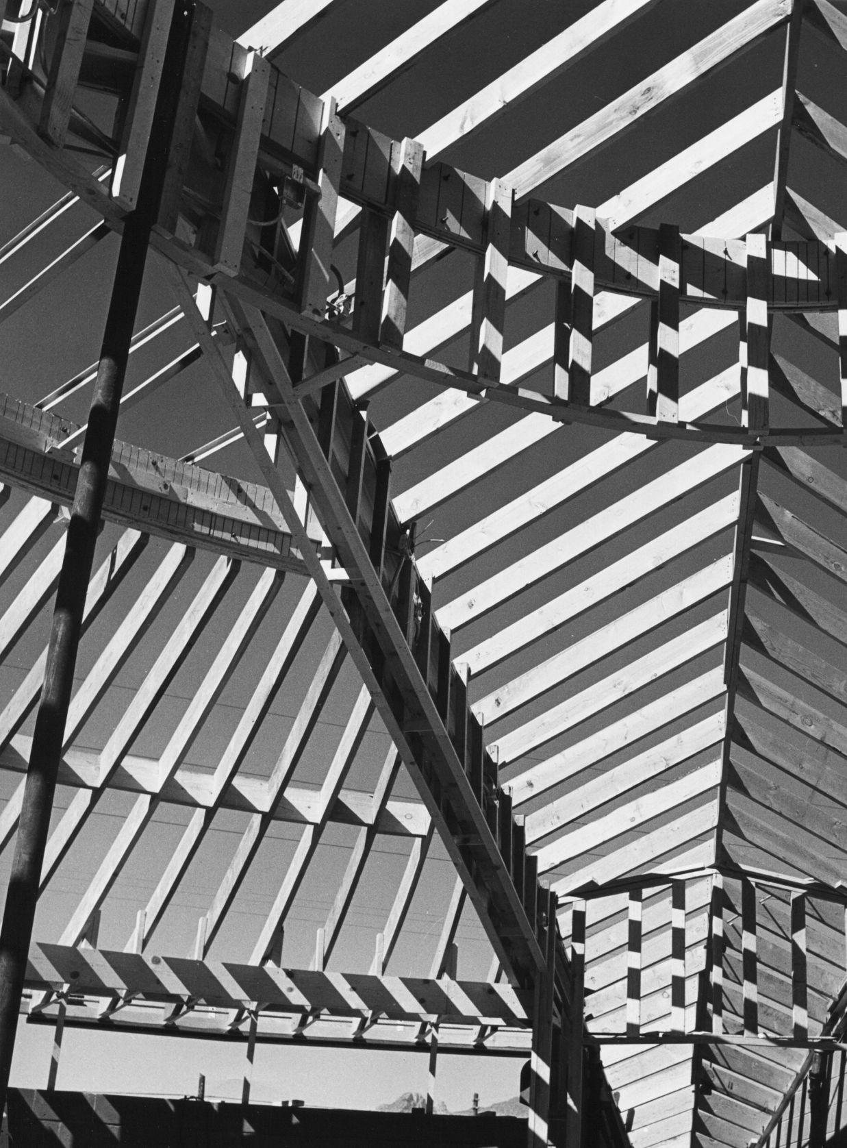 Tucson Creative Dance Center 1963